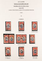 1920 - 1046 OBLIGATORY TAX (POSTAL TAX) SPECIALISED COLLECTION Of Mint & Used Stamps Well Displayed And Annotated In A B - Ecuador