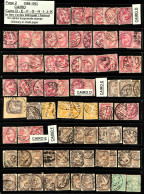 1888-1909 CAIRO & ALEXANDRIA POSTMARKS Huge Accumulation Of Used Stamps Showing Various Types Of Cairo And Alexandria Ca - Autres & Non Classés