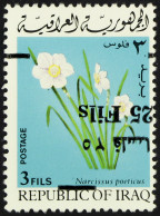 1975 25f On 3f Flowers SURCHARGE INVERTED Variety, SG 1173a, Never Hinged Mint, Cat Â£125. - Irak