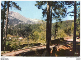 CORSE EVISA MAISON FORESTIERE FORET D'AITONE ET CHAPELLE - Corse