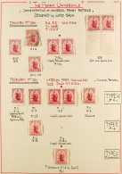 1901 - 1909 PENNY UNIVERSAL SPECIALISED COLLECTION Of Chiefly Mint Stamps, Pairs & Blocks On 9 Expertly Annotated Pages, - Other & Unclassified