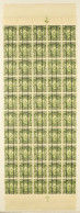 1907-08 Â½D MOUNT COOK - DICKIE SLOT MACHINE EXPERIMENT Perf. 14x15, Campbell Paterson F5c, A Scarce Mint Never Hinged B - Andere & Zonder Classificatie