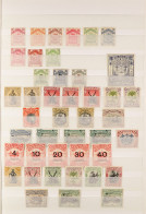 1886 - 1952 MINT COLLECTION On Stock Book Pages Very Comprehensive (160+ Stamps) - North Borneo (...-1963)