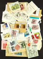 1950s - 2010s POSTMARKS / CANCELLATIONS COLLECTION Of Stamps On & Off Pieces Sorted In To Envelopes Numbered By Postal A - Other & Unclassified