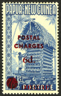 POSTAGE DUE 1960 6d On 7Â½d Blue, SG D1, Never Hinged Mint With Some Pale Tone Marks To Gum. Cat Â£850. - Papua-Neuguinea