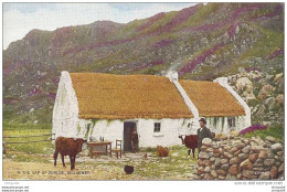 10vo   IRLANDE KILLARNEY IN THE GAP OF DUNLOE FERME ANIMAUX FERMIERS EN TBE - Kerry