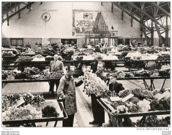 HOLLAND AALSMEER SALLE DES VENTES DE FLEURS - Aalsmeer