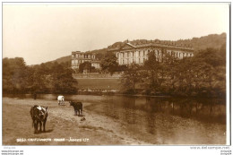 10Chat     ANGLETERRE CHATSWORTH HOUSE JUDGES - Derbyshire