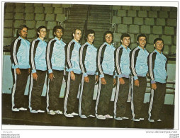 17Mz    GYMNASTIQUE EQUIPE DE FRANCE 1978 DEDICACES AU V° - Gymnastiek