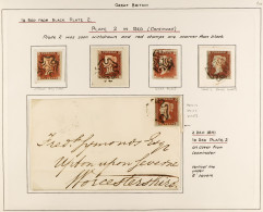1841 1d Red-brown Imperfs 'BLACK PLATE 2' Small Collection With 4 Examples On / Off Piece, And One On Cover. Nice Qualit - Sonstige & Ohne Zuordnung