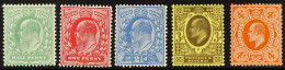 1911 Harrison Perf. 15x14 Set, Never Hinged Mint. Cat. Â£250. (5 Stamps) - Zonder Classificatie