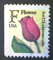 United States, Scott #2519, Used(o), 1991, Rate Change "F" Tulip , (29¢), Yellow, Black, Red, And Yellow Green - Used Stamps