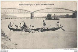 29Or   ALLEMAGNE GERMERSHEIM SCHWIMMUBUNGEN IM RHEIN (CHEVAUX BATEAUX) - Germersheim