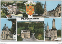 45Sis  86 Pleumartin Multivues - Pleumartin