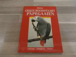 Grijze Roodstaart Papegaaien - Aanschaf, Verzorging, Voeding - Sachbücher