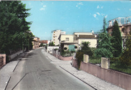Cartolina Spilimbergoo ( Pordenone ) - Via Tauriano - Pordenone