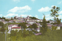 Cartolina S.daniele Del Friuli ( Pordenone ) - Panorama - Pordenone