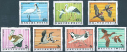 C5211 Hungary Animal Bird Long-Legged Wading Bustard Full Set MNH - Schwalben