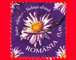 ROMANIA - Usato - 2009 - Fiori Protetti - Aster Alpino -  0.60 - Gebruikt