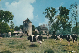 Pontault Combault (77 - Seine Et Marne) La Ferme Dinneveth Et Ses Vaches.  Eolienne - Pontault Combault