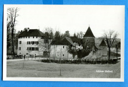 FEL1697, Schloss Hallwil, Non Circulée - Lenzburg