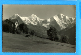 FEL1698, Beatenberg, Amisbühl, Eiger, Mönch, Jungfrau, E. Gyger, Non Circulée - Beatenberg