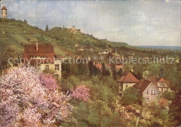 72354696 Radebeul Bluehende Loessnitz Mit Friedensburg Und Wasserturm Radebeul - Radebeul