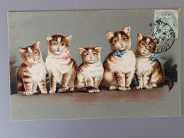 Carte Fantaisie Chat , 5 Petits Chats - Katten