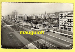 76 SEINE MARITIME / LE HAVRE / L'AVENUE FOCH ET LE SQUARE SAINT-ROCH / 1957 - Saint-Roch (Plein)