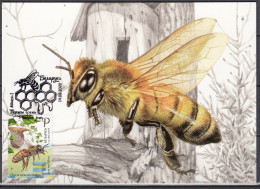 BELARUS 2020 Beekeeping Bees.Maxicrd.MNH - Abeilles