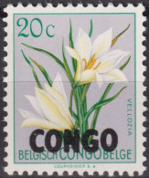 1960  Kongo - Kinshasa ** Mi:CD 13, Sn:CD 325, Yt:CD 384, Vellozia Aequatorialis Overprinted CONGO, Blumen - Unused Stamps