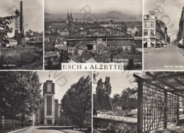 CARTOLINA  B14 ESCH S ALZETTE,LUSSEMBURGO-LES USINES-VUE GENERALE-RUE DE L'ALZETTE-SACRE COEUR-VIAGGIATA 1961 - Esch-sur-Alzette