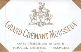 MO-24-192 : GRAND CREMANT MOUSSEUX. CUVEE  DE L'HOTEL BRISTOL A NAPLES ITALIE - Autres & Non Classés