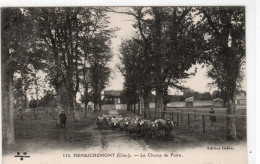 18 :  Henrichemont :  Le Champ De Foire ; Troupeau De Moutons     ///  Réf. Fév. 24  ///   BO 18 - Henrichemont
