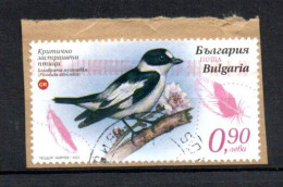 BULGARIE - BULGARIA - OISEAUX - BIRDS - Used - Oblitéré - Unstucked - Sur Fragment - 0.90 - 2023 - - Gebraucht