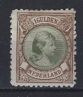 Nederland Netherlands Pays Bas Niederlande Holanda 46 MLH/ongebruikt ;  Wilhelmina 1893 - Neufs