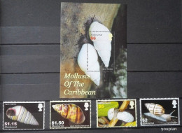 Montserrat 2005, Molluscs Of The Caribbean, MNH S/S And Stamps Set - Montserrat