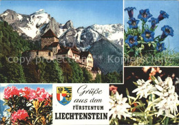 72346596 Liechtenstein  Mit Schloss Liechtenstein - Liechtenstein