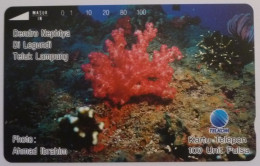 CORAIL - FONDS MARINS - Carte Téléphone INDONESIE Sans Perforation D'utilisation - Paysages