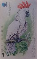 OISEAU - CACATOES A HUPPE ROUGE - Cacatua Motucensis / Dessin WWF - Carte Téléphone INDONESIE - Papegaaien & Parkieten