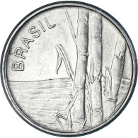 Brésil, Cruzeiro, 1984 - Brazil