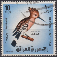 1968 Irak ° Mi:IQ 521, Sn:IQ 464, Yt:IQ 488, Eurasian Hoopoe (Upupa Epops), Vögel - Iraq