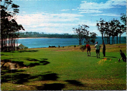 16-2-2024 (4 X 8) Australia - NSW - Mollymock Golf Course - Golf