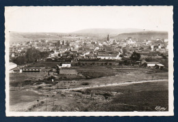 Algérie. Saïda. Vue Générale Avec L'église Catholique, La Mairie Et La Mosquée.. - Saïda