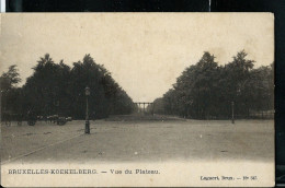 Vue Du Plateau - Neuve - - Koekelberg