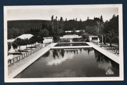 Algérie. Saïda. La Piscine Municipale  J. Vidal - Saïda