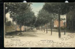 Boulevard Léopold II - Obl. 04/09/1902  - Colorisé - Koekelberg