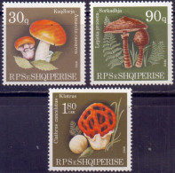 ALBANIA - MUSHROOMS LOT - **MNH - 1990 - Alderney