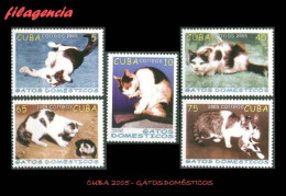 CUBA MINT. 2005-09 FAUNA. GATOS DOMÉSTICOS - Nuevos