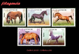 CUBA MINT. 2005-29 FAUNA. CABALLOS DE RAZA - Nuevos